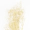 Natural Dried Baby&#x27;s Breath by Ashland&#xAE;